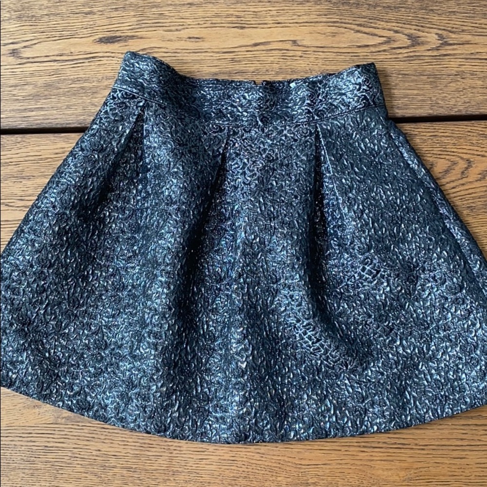 Metallic Skirt